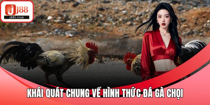 Khái quát chung về hình thức đá gà chọi