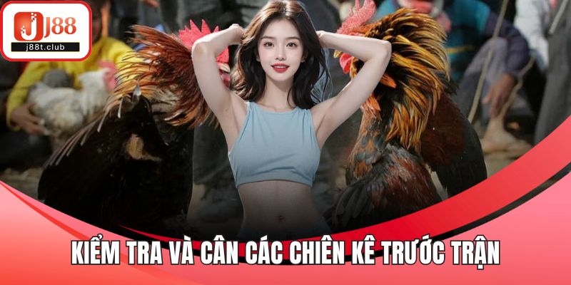 Kiểm tra và cân các chiên kê trước trận