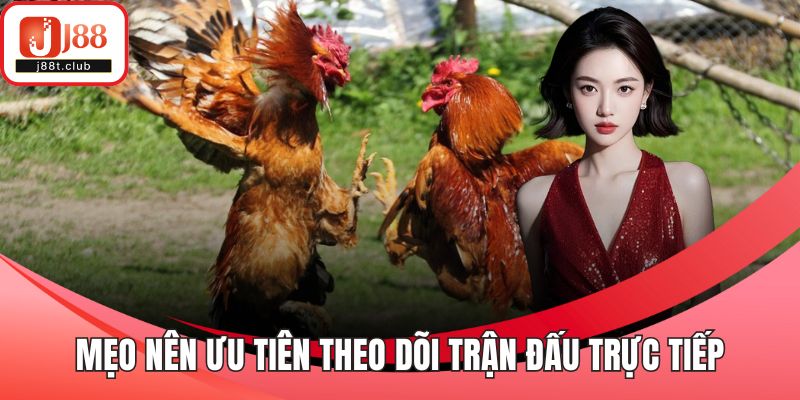 Mẹo nên ưu tiên theo dõi trận đấu trực tiếp