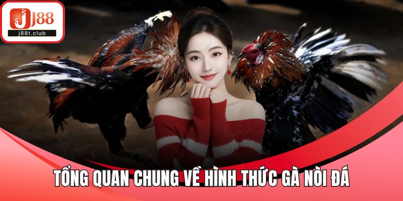 Tổng quan chung về hình thức gà nòi đá